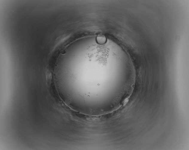 X0000113891302200909241408