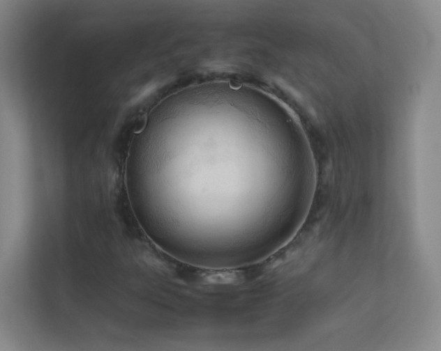 X0000113891303200909241408