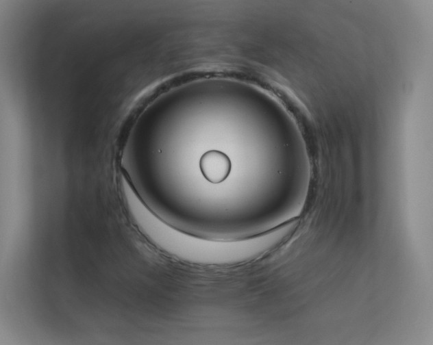 X0000113891304200909241408