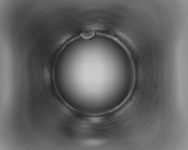 X0000113891305200909241408