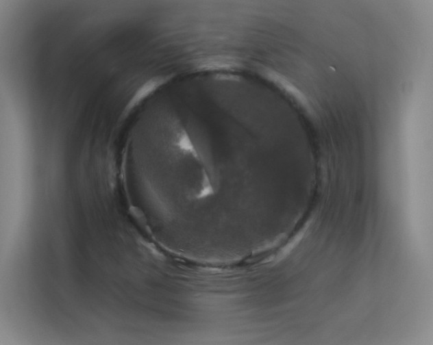 X0000113891306200909241408