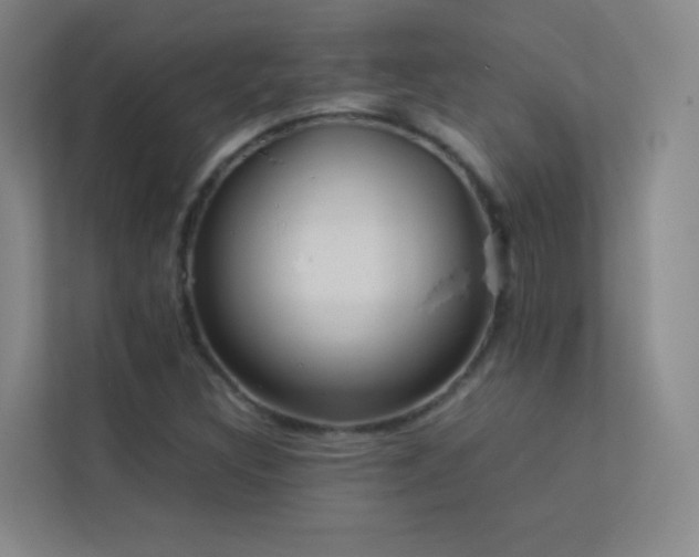 X0000113891308200909241408