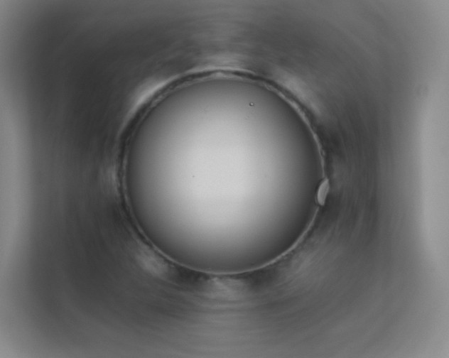 X0000113891312200909241408