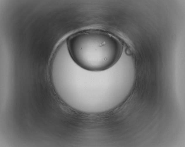 X0000113891316200909241408