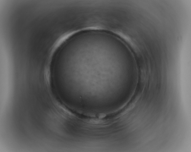 X0000113891319200909241408