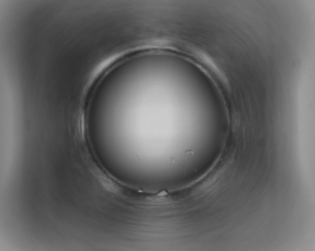 X0000113891320200909241408