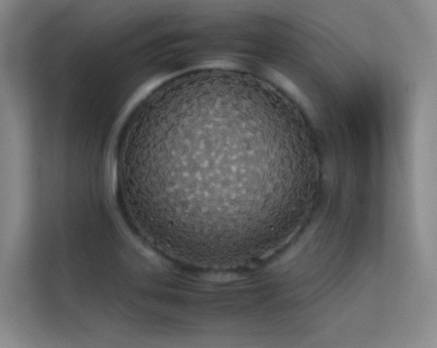 X0000113891323200909241408