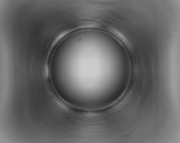 X0000113891324200909241408