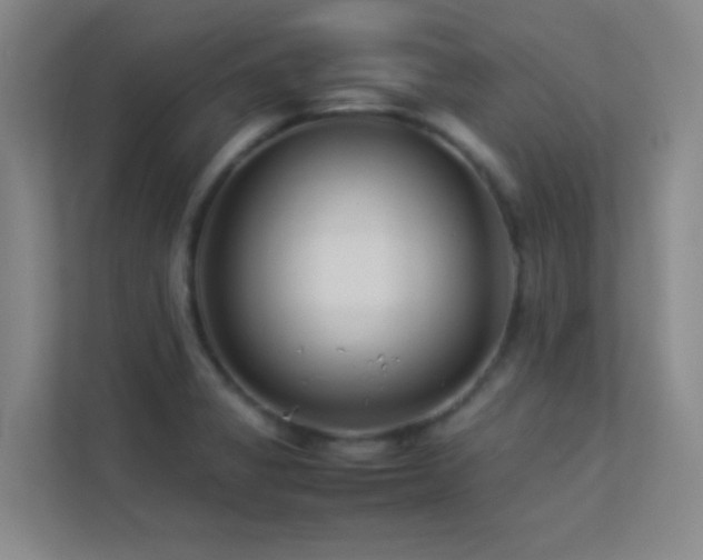 X0000113891325200909241409