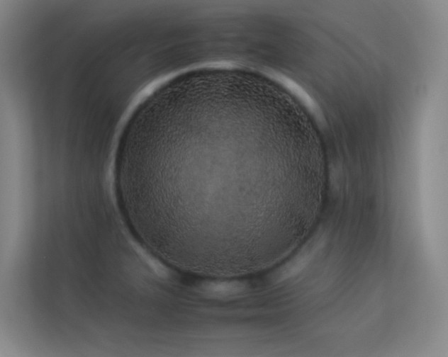 X0000113891327200909241409