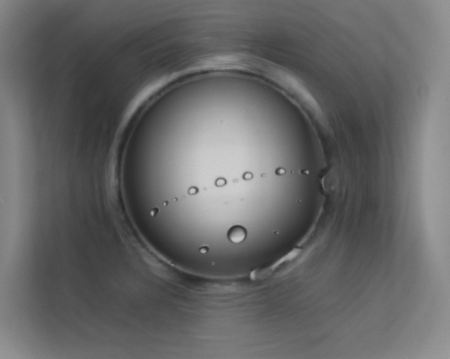 X0000113891328200909241409