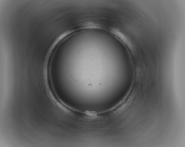 X0000113891331200909241409