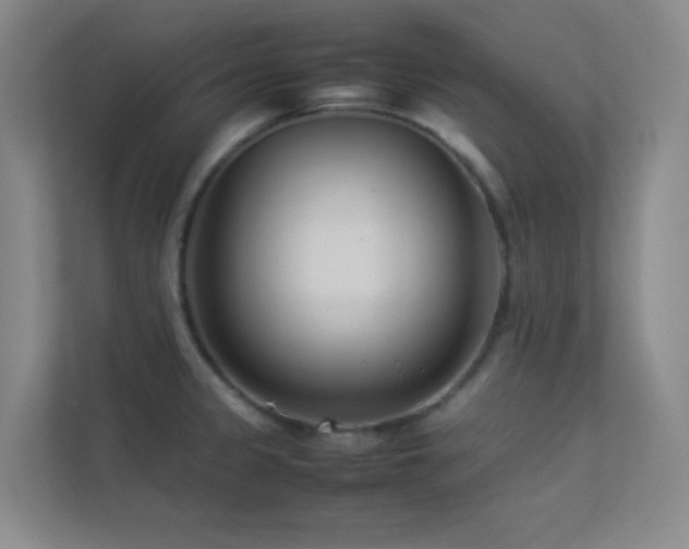 X0000113891333200909241409