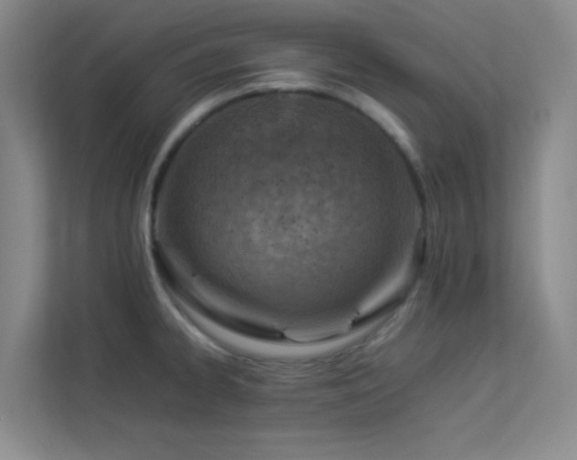 X0000113891334200909241409