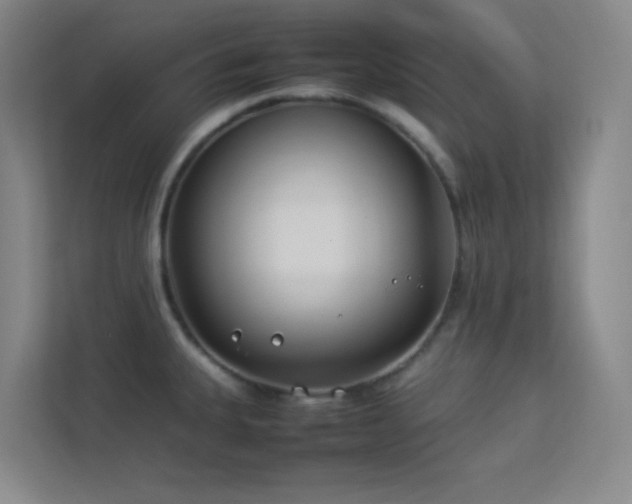 X0000113891335200909241409