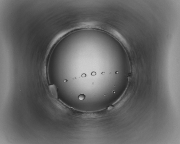 X0000113891336200909241409