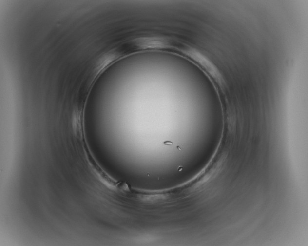 X0000113891337200909241409