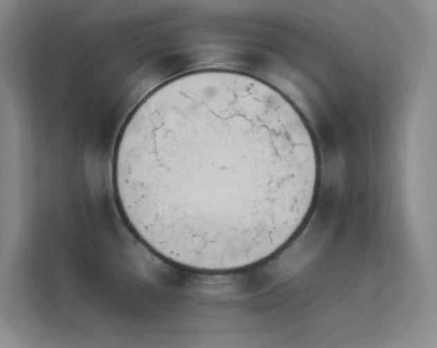 X0000113891338200909241409