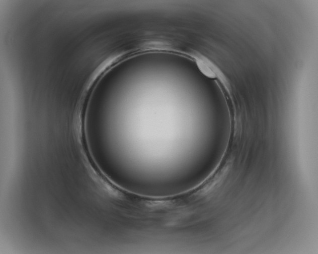X0000113891341200909241409