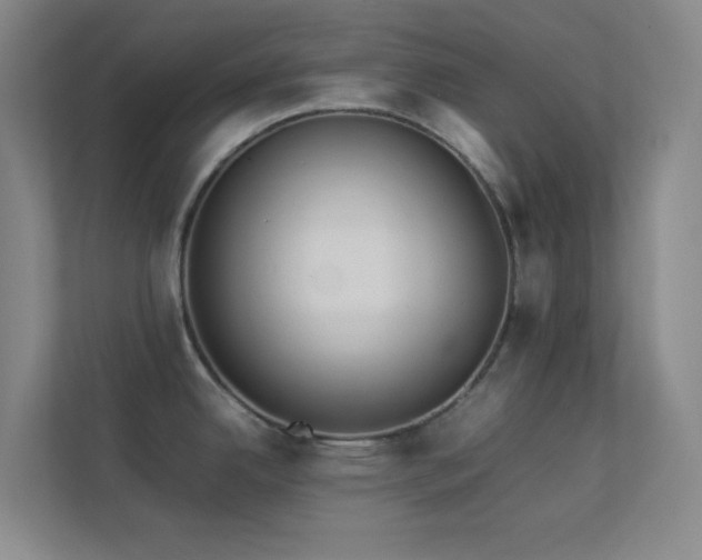 X0000113891342200909241409