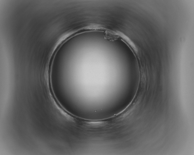 X0000113891343200909241409