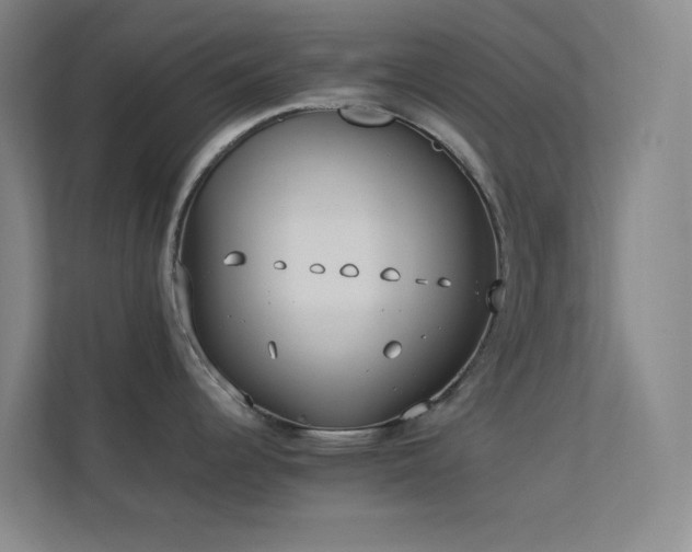 X0000113891344200909241409