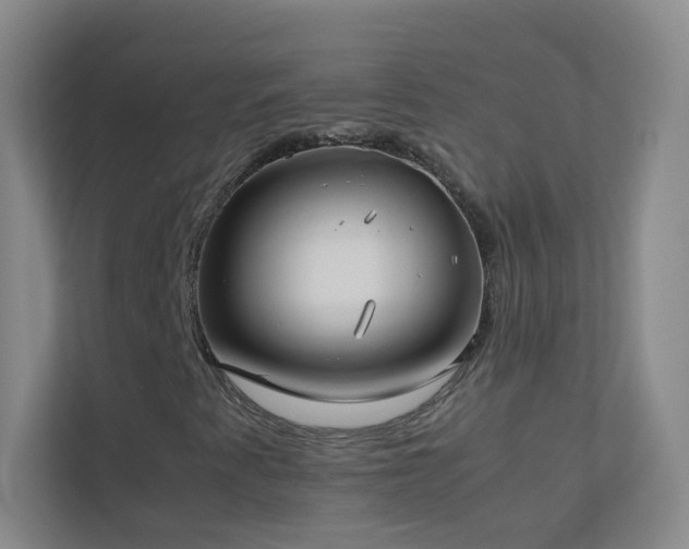 X0000113891345200909241408
