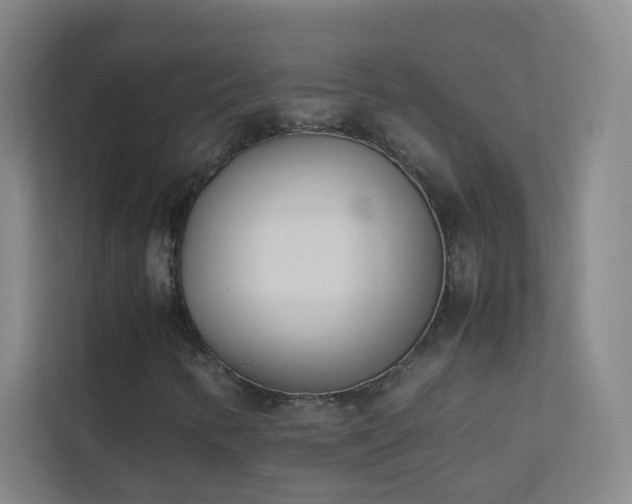 X0000113891346200909241408
