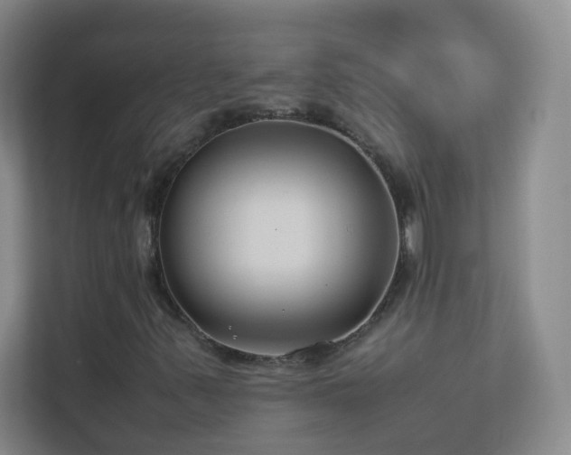 X0000113891347200909241408