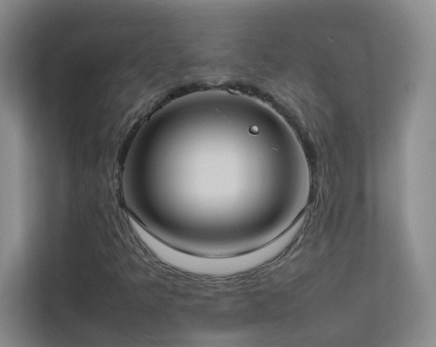 X0000113891349200909241408