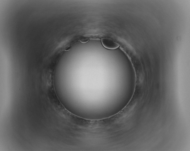 X0000113891350200909241408