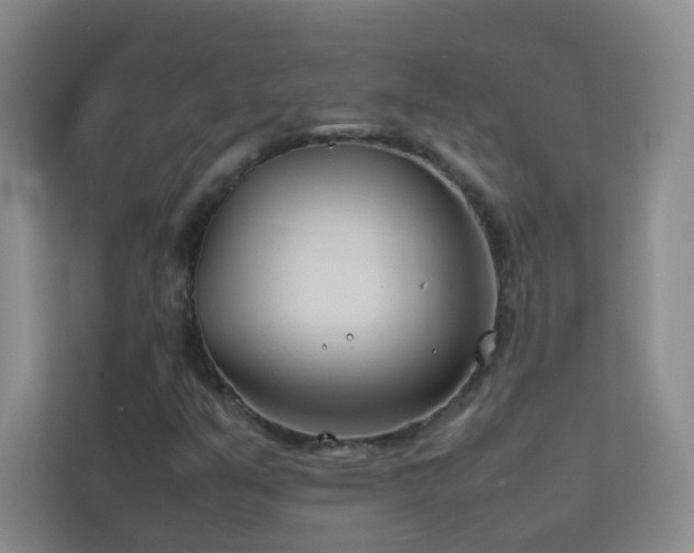 X0000113891351200909241408