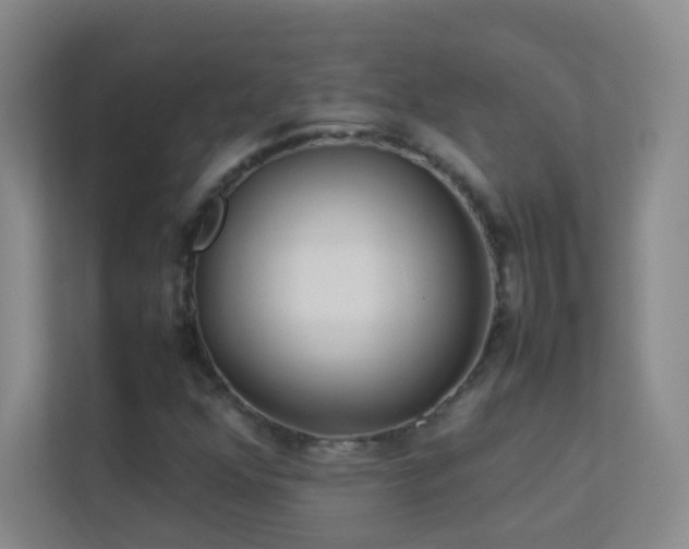 X0000113891352200909241408
