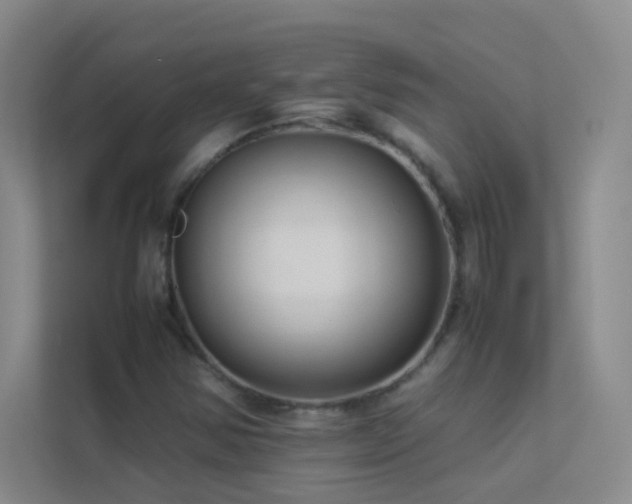 X0000113891354200909241408