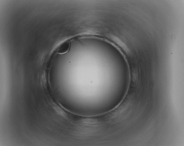 X0000113891356200909241408