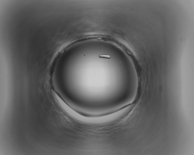 X0000113891357200909241408