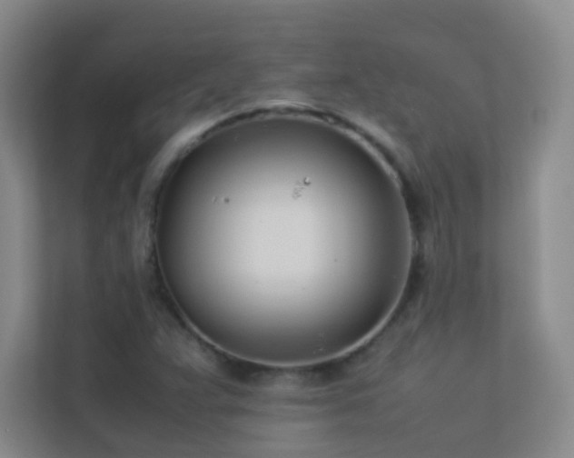X0000113891359200909241408