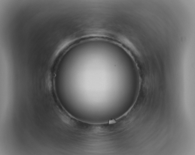 X0000113891360200909241408