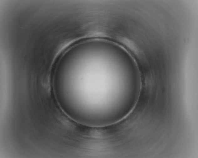 X0000113891364200909241408