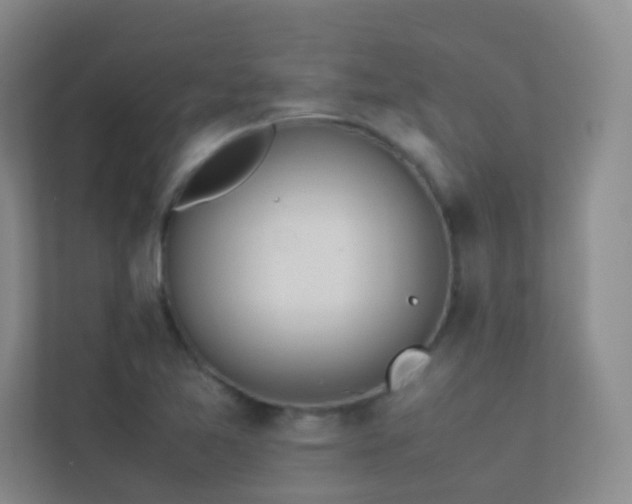 X0000113891365200909241408