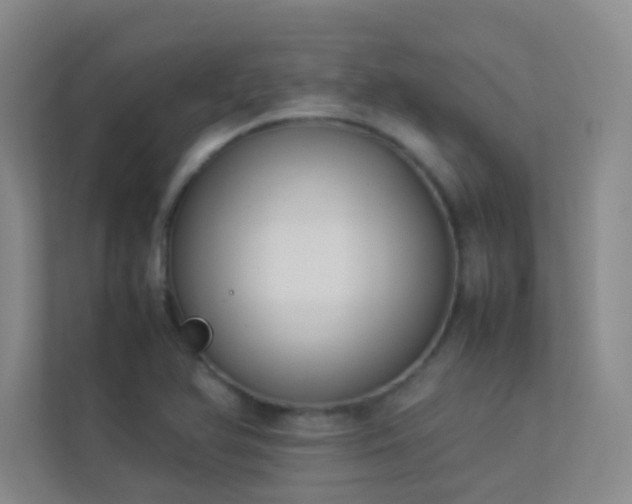 X0000113891366200909241408