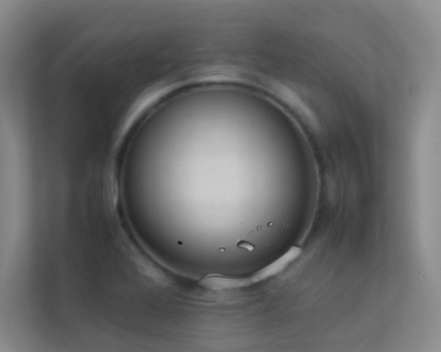 X0000113891368200909241408
