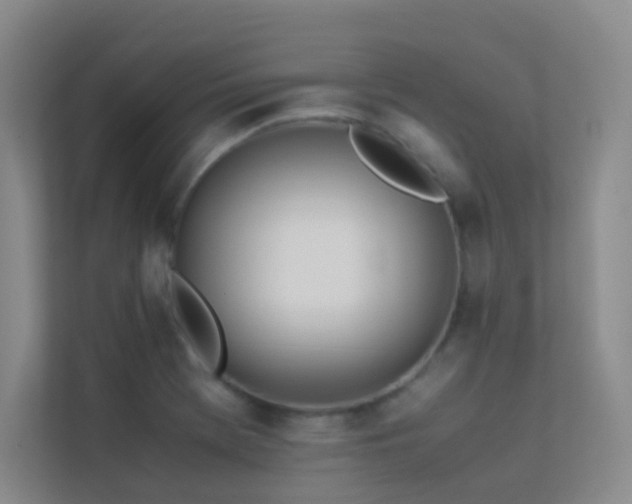 X0000113891369200909241408