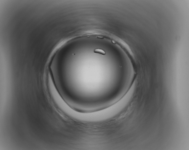 X0000113891373200909241408