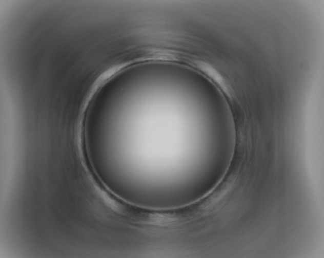 X0000113891379200909241408