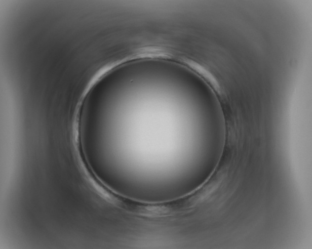 X0000113891383200909241408