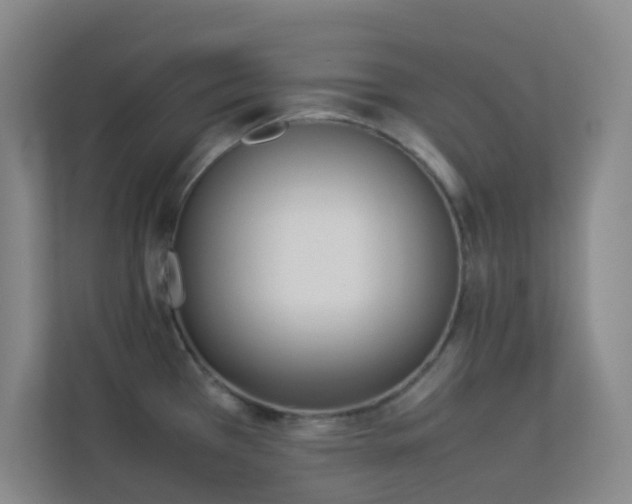X0000113891385200909241408