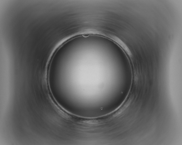X0000113891388200909241407