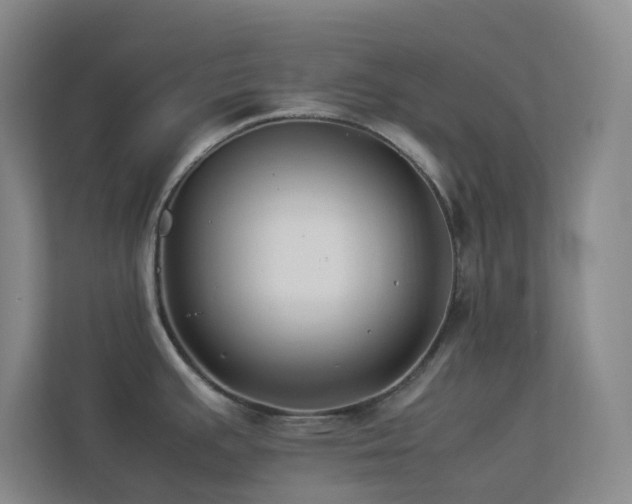 X0000113891391200909241407