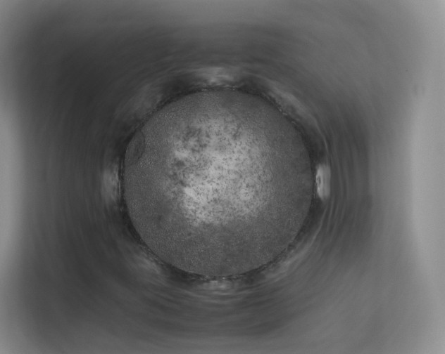 X0000113891395200909241407